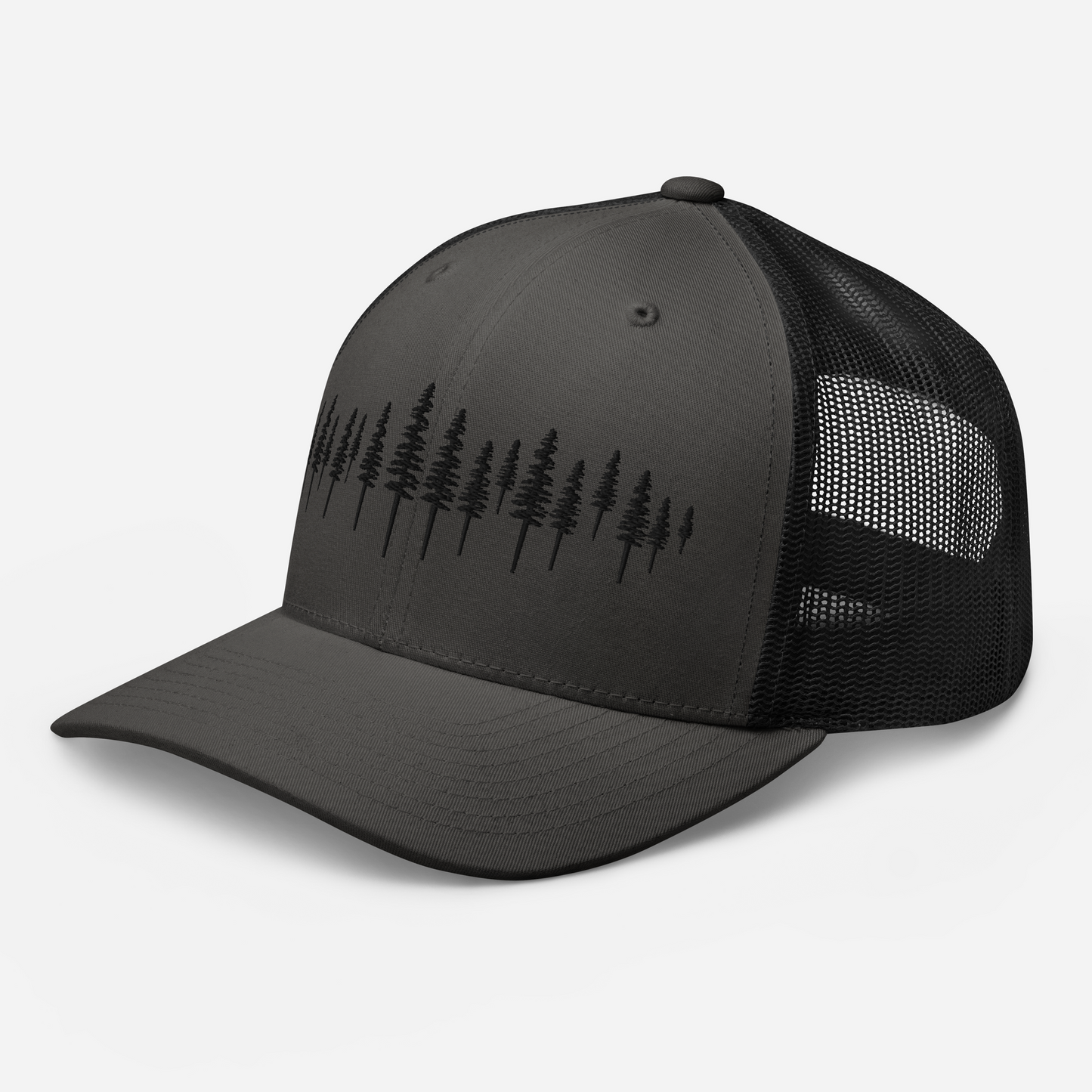 Casquette Charcoal Black avec design brodé pour balade en montagne.