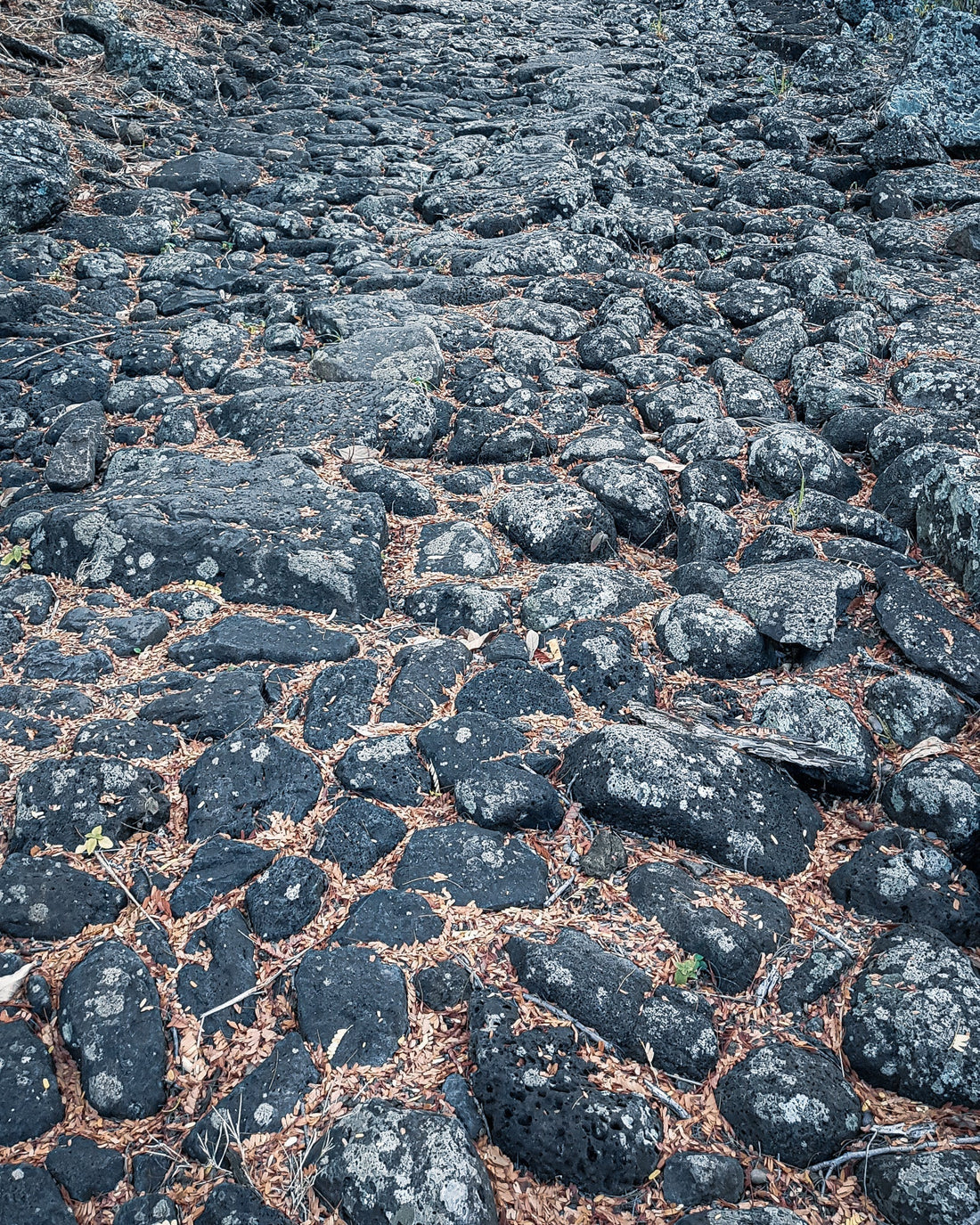 Sentier du Chemin des Anglais à La Réunion, portion emblématique de la Diagonale des Fous, entre roche volcanique, silence et avancée patiente.