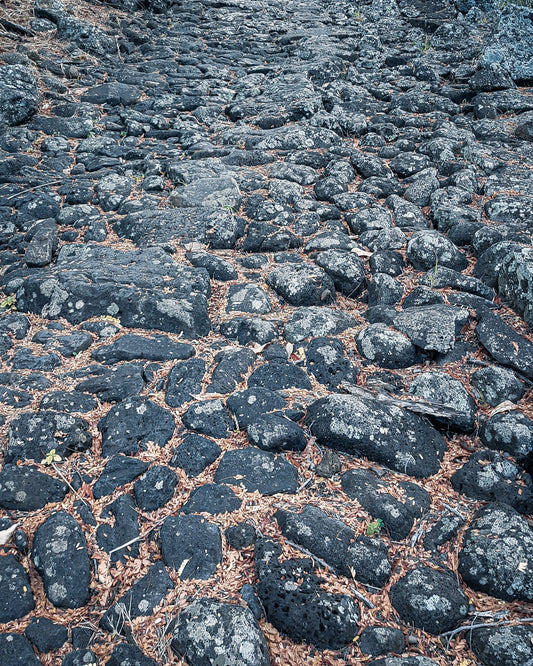 Sentier du Chemin des Anglais à La Réunion, portion emblématique de la Diagonale des Fous, entre roche volcanique, silence et avancée patiente.