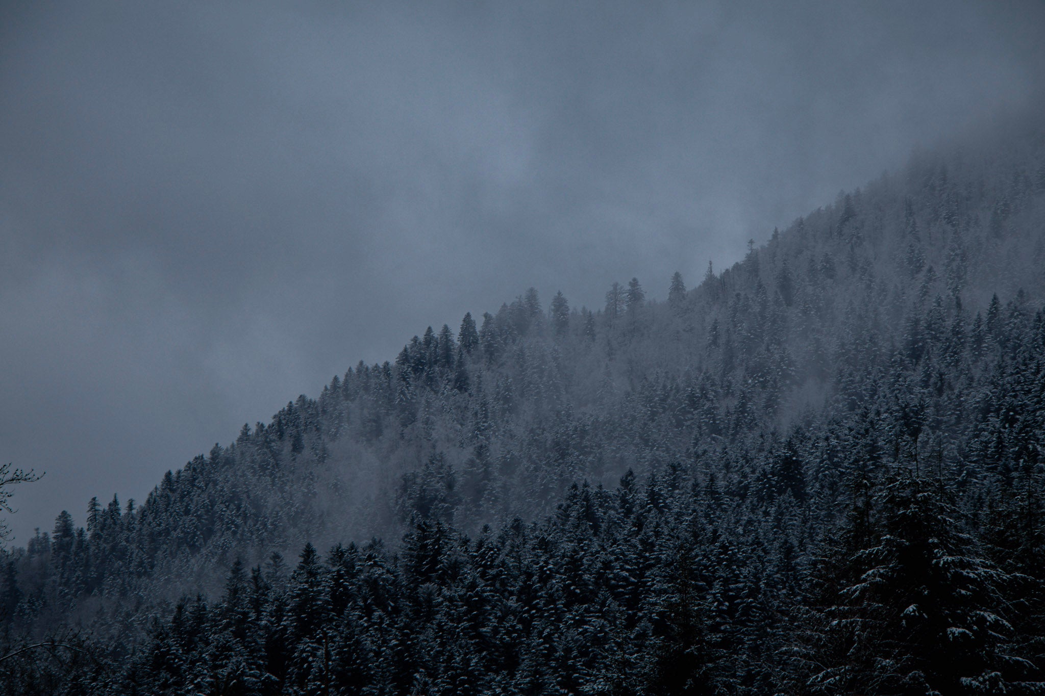 Paysage de montagne montrant une forêt dans la brume hivernale, avec des zones enneigées.