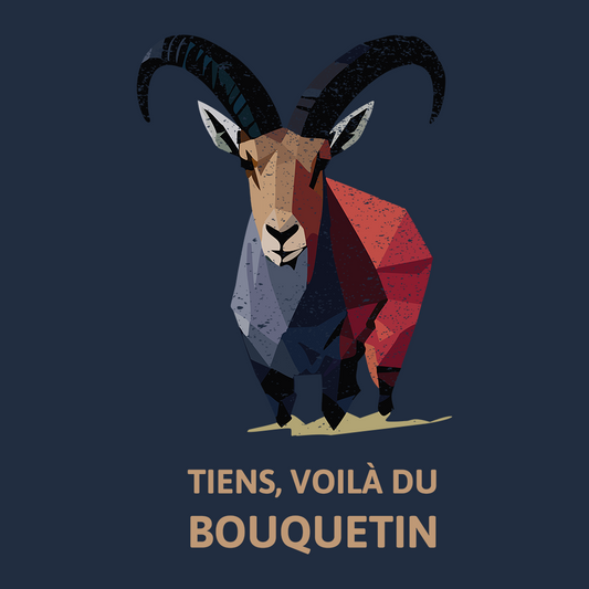 Visuel du design « Tiens, voilà du Bouquetin » : bouquetin coloré en aplats, typographie centrée.